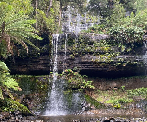 Paul's Tassie Tours and Charters-霍巴特必去景点
