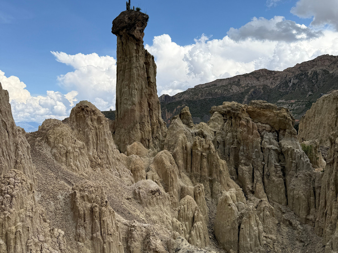 Valle De La Luna景点图片