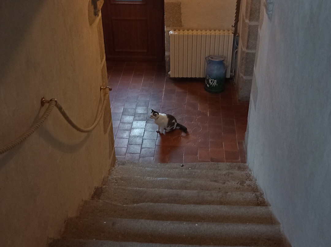 Logis de Riparfonds主图