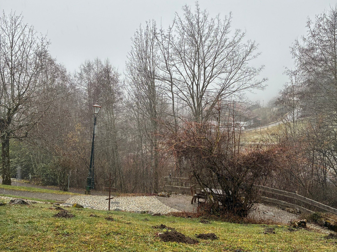 Hotel Tannenhof Lichy主图