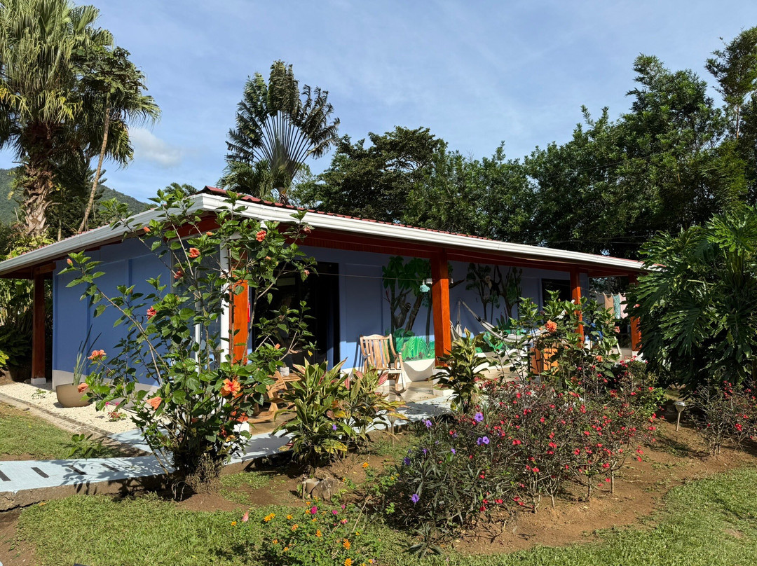 Sueño Rio Celeste Boutique B&B主图