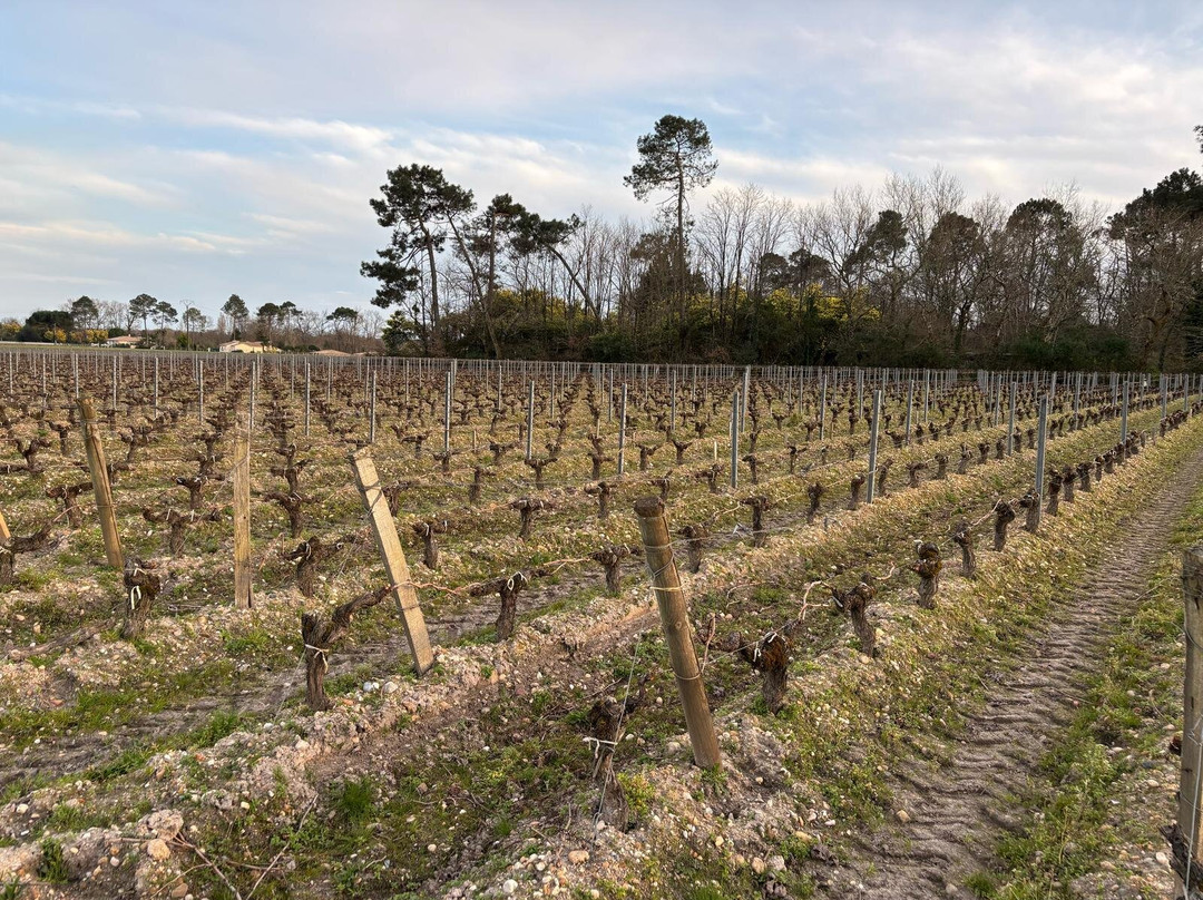 Domaine de Larchey主图