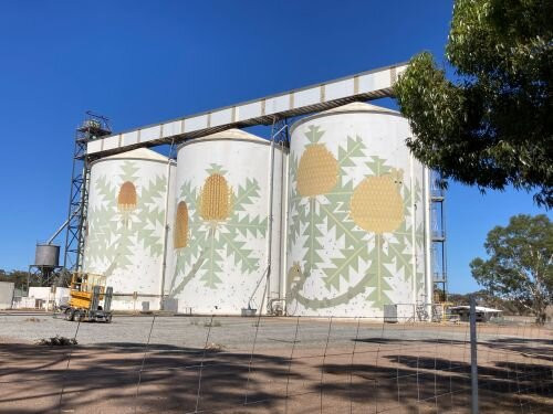 Ravensthorpe Silo Art-Ravensthorpe必去景点