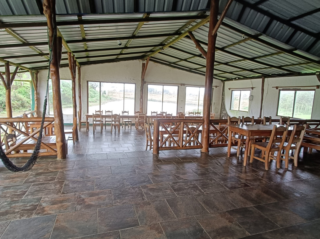 Cerro Mesa-阿约拉港必去景点