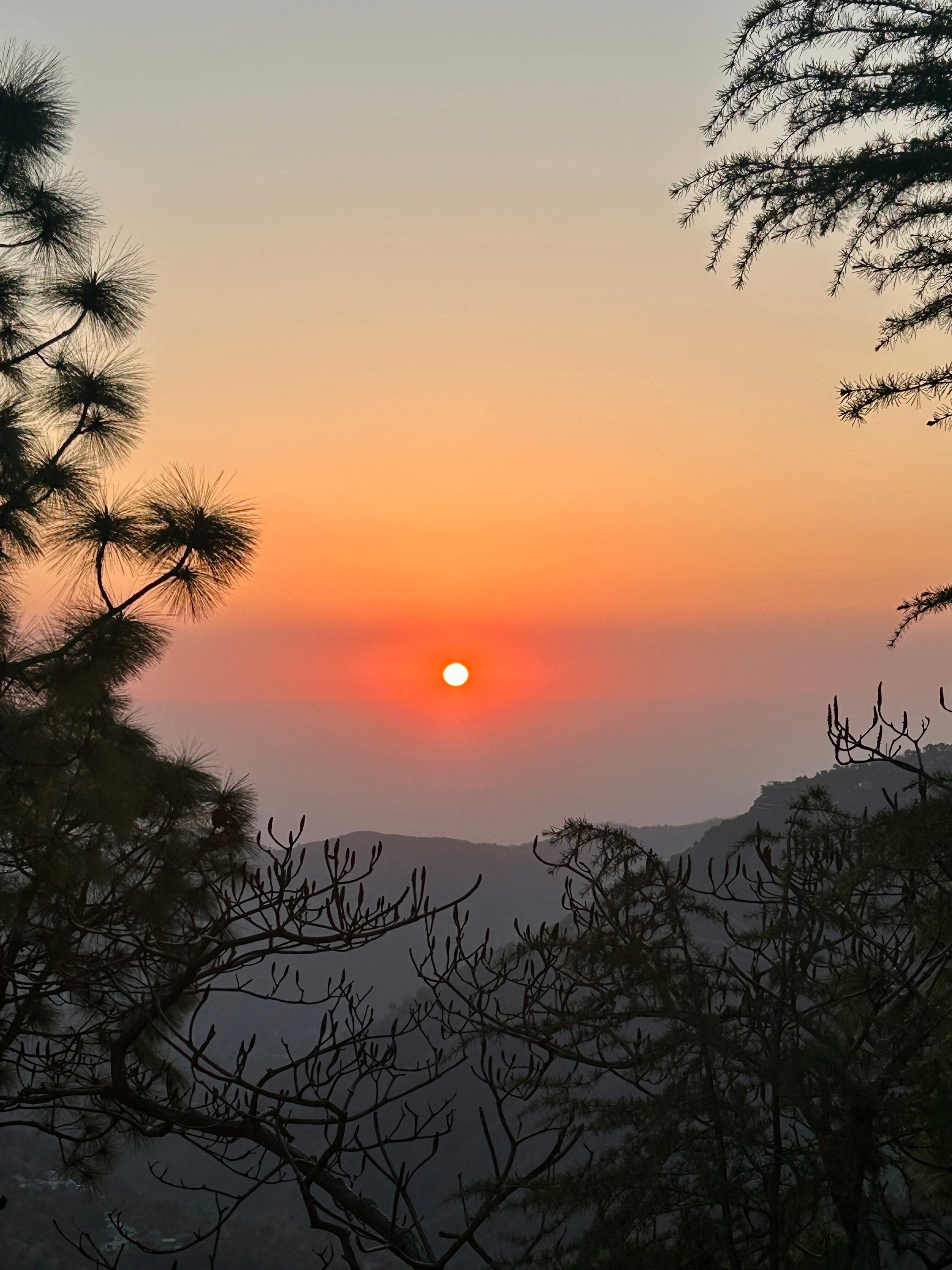 Baikunth Resort Kasauli By Leisure Hotels-官方