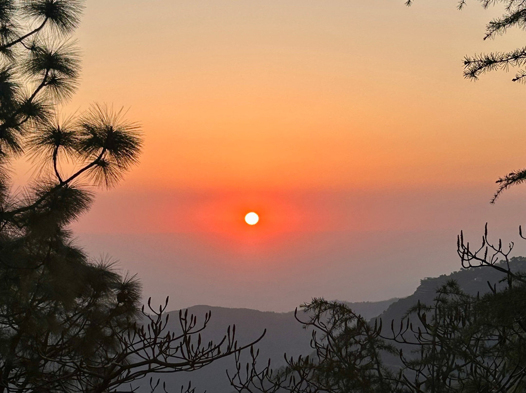 Baikunth Resort Kasauli By Leisure Hotels主图