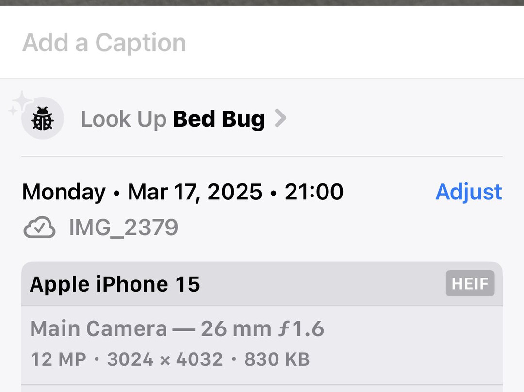 Super 8 by Wyndham Kingston主图
