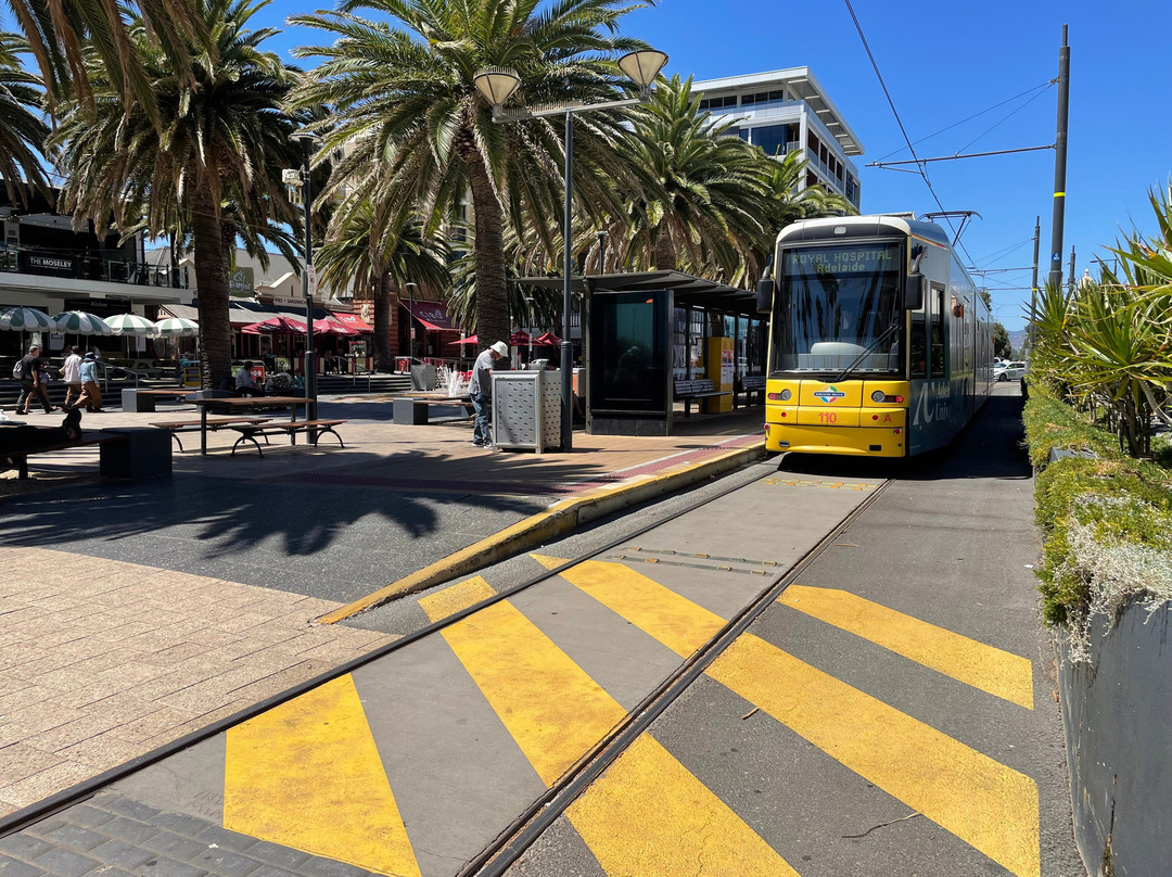 Glenelg - Seacliff Coastal Walking Trail-格莱内尔格必去景点