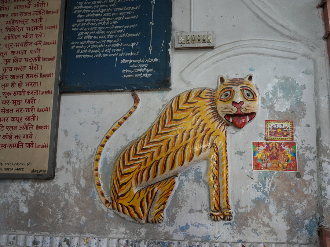 托迪加酒店主图