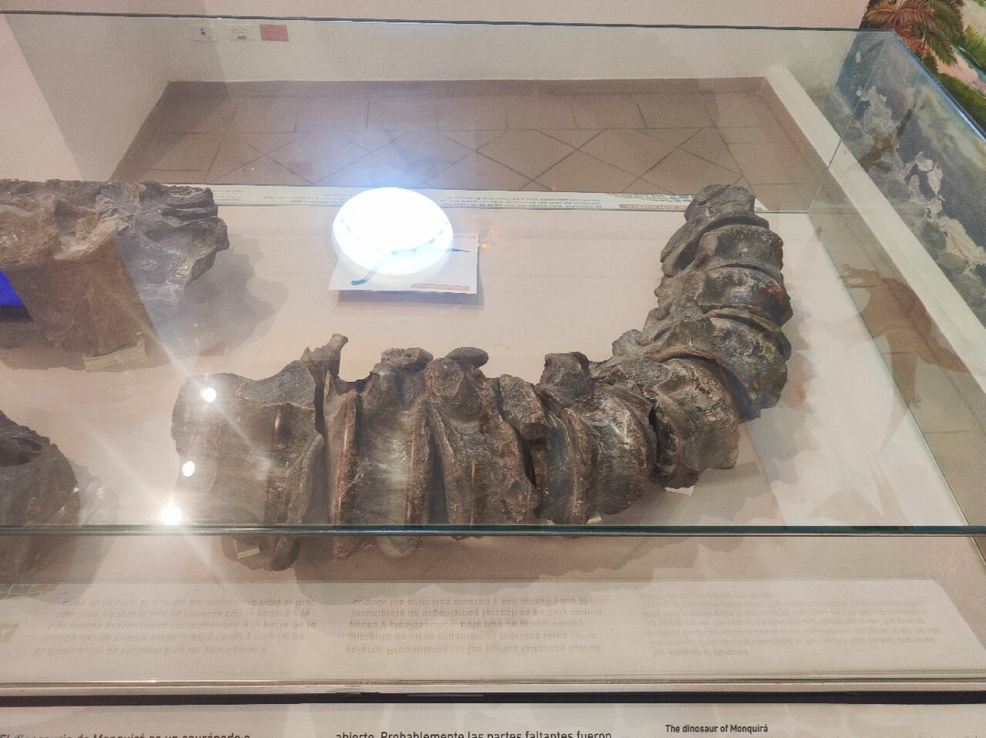 Museo El Fosil-莱瓦镇必去景点