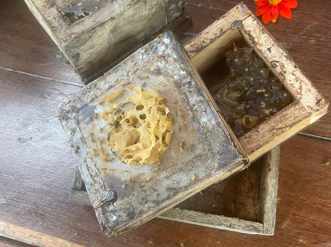 Plan B, Farm to table-Minca必去景点