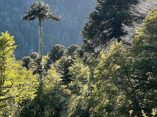 Equs Travel-La Calera必去景点