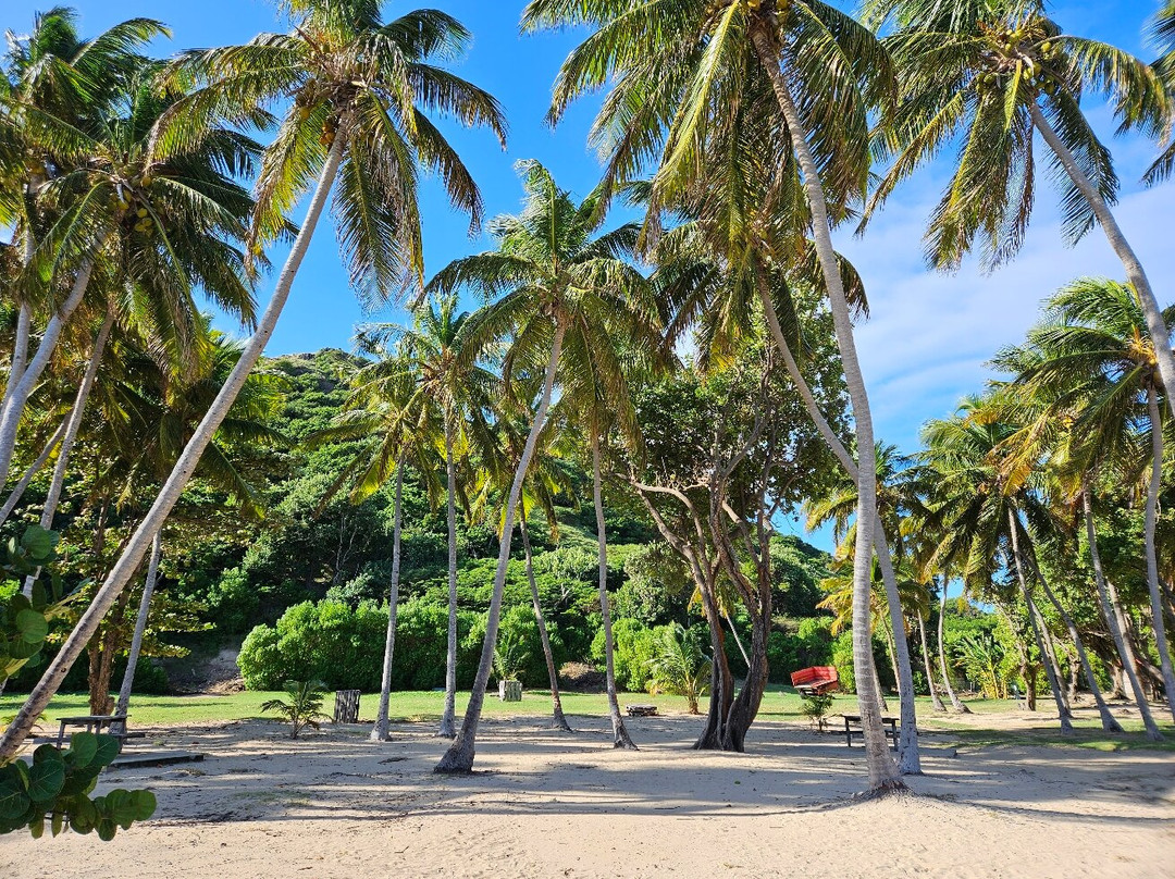 La Billetterie Saintoise-Terre-de-Haut必去景点