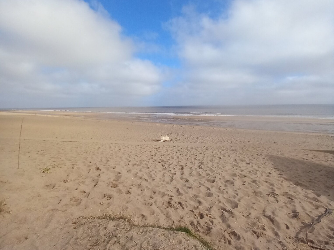 North Sea Observatory-Chapel St. Leonards必去景点