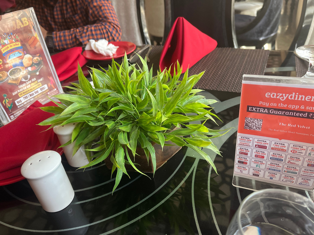 The Red Velvet Hotel Samarpan主图