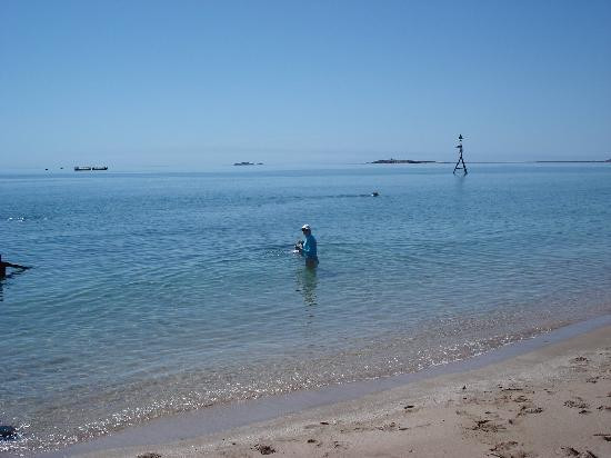 Delilahs Bed and Breakfast主图