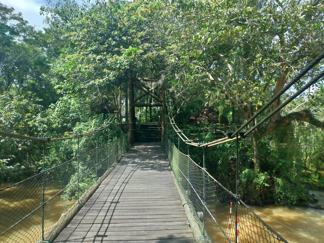 Parque Municipal Recanto do Americo景点图片