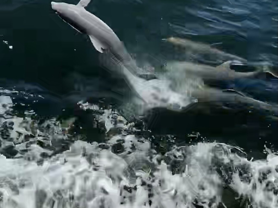 Fishermen's Village-蓬塔戈尔达必去景点