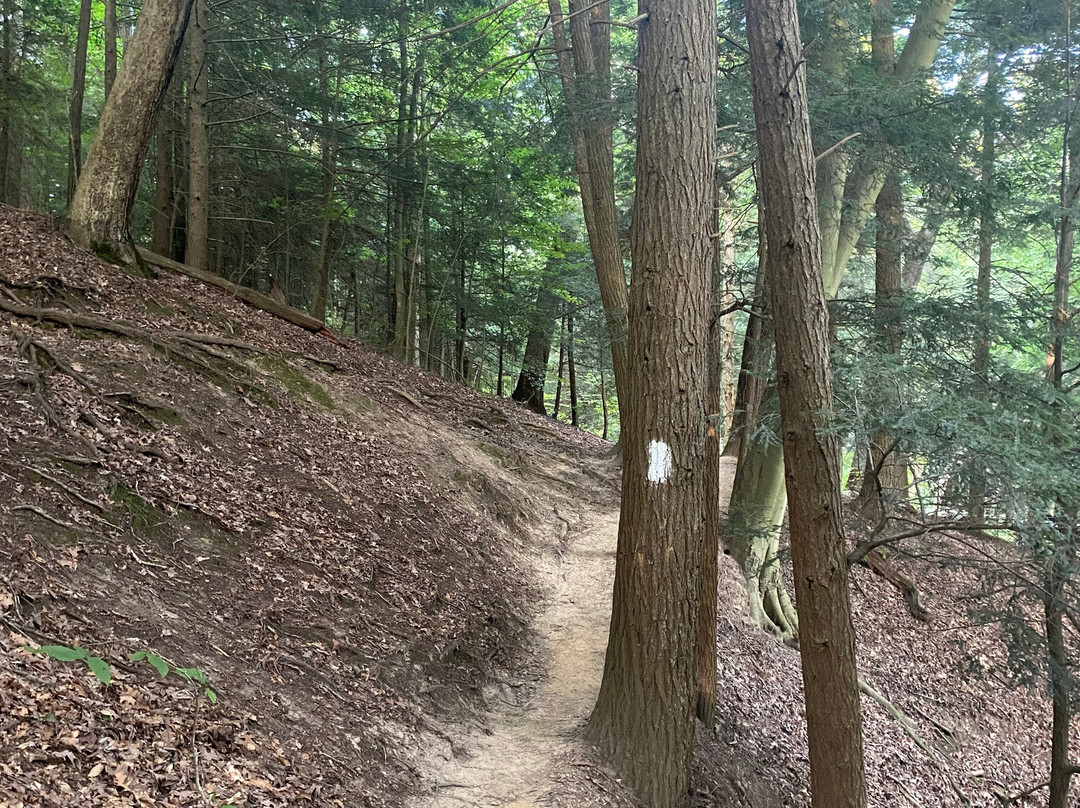 Mohican State Park-Loudonville必去景点