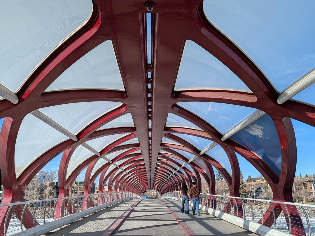 CalgaryWalks & Bus Tours-卡尔加里必去景点