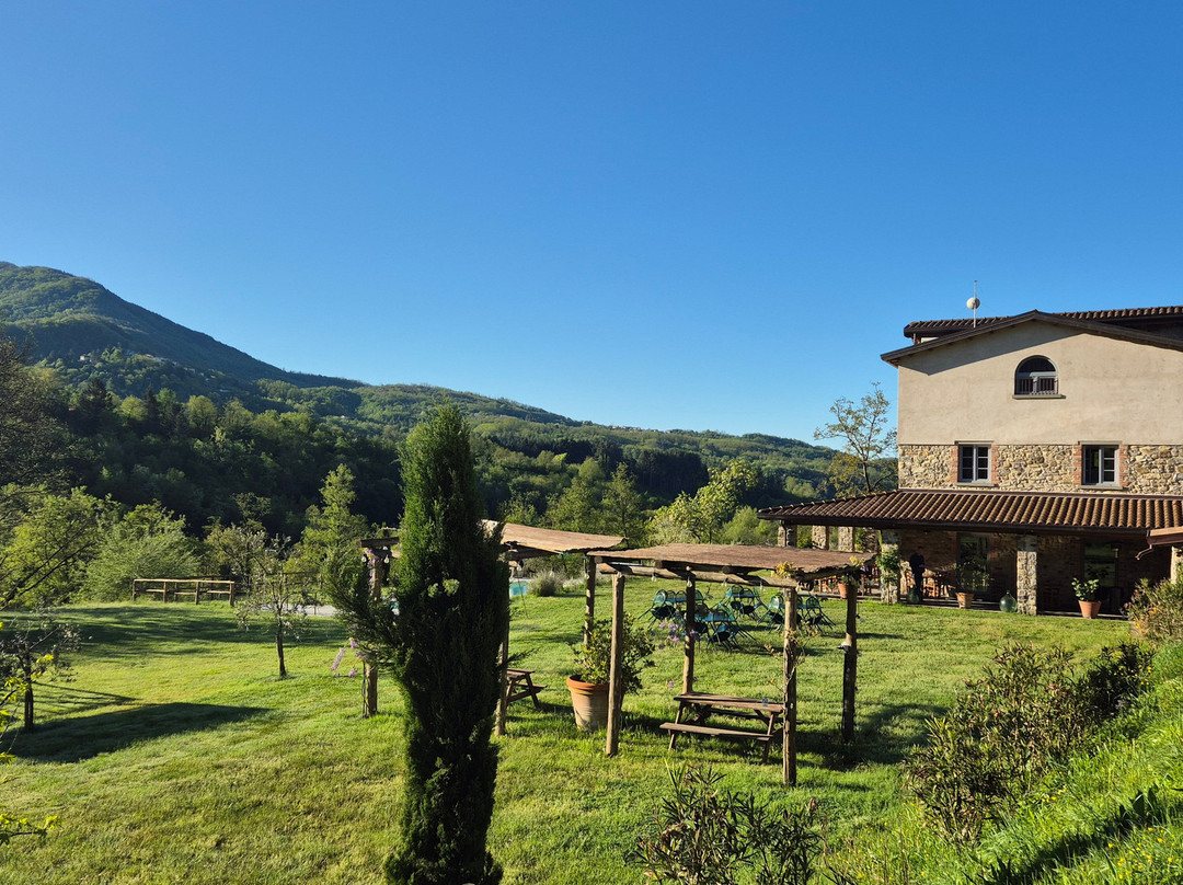 Agriturismo I Giunchi主图