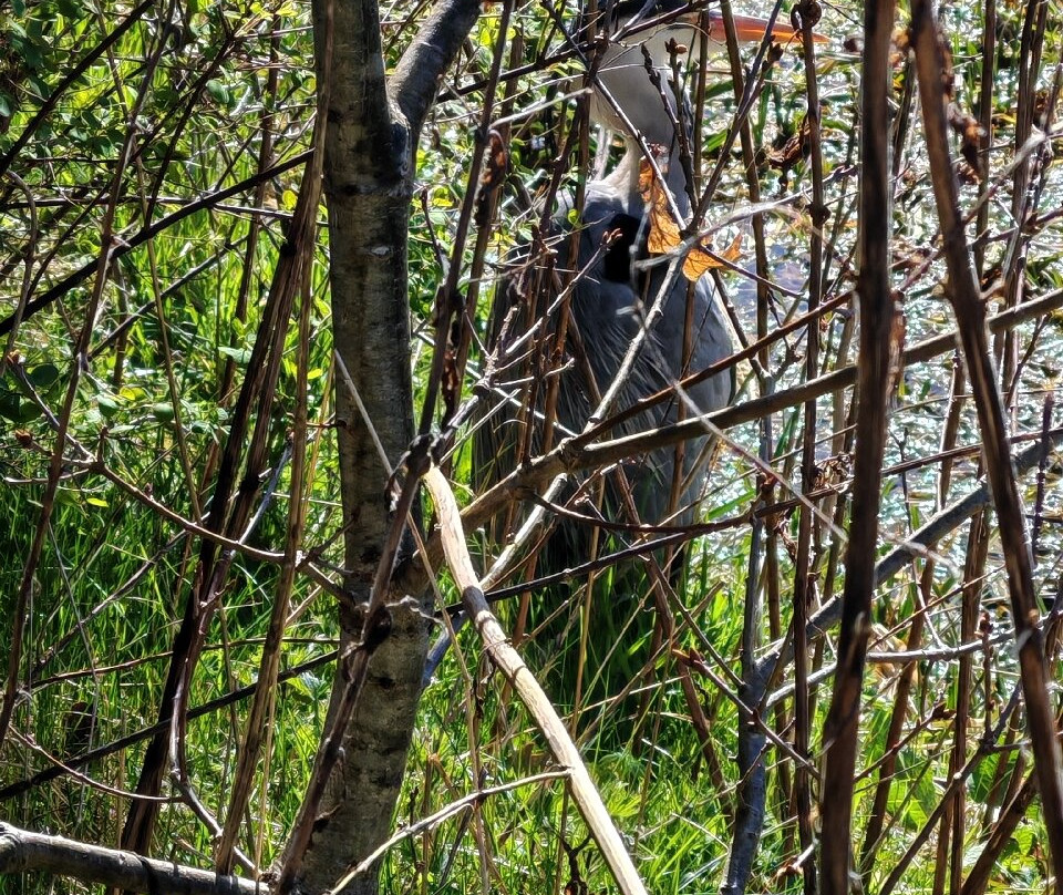 Burrs Country Park景点图片