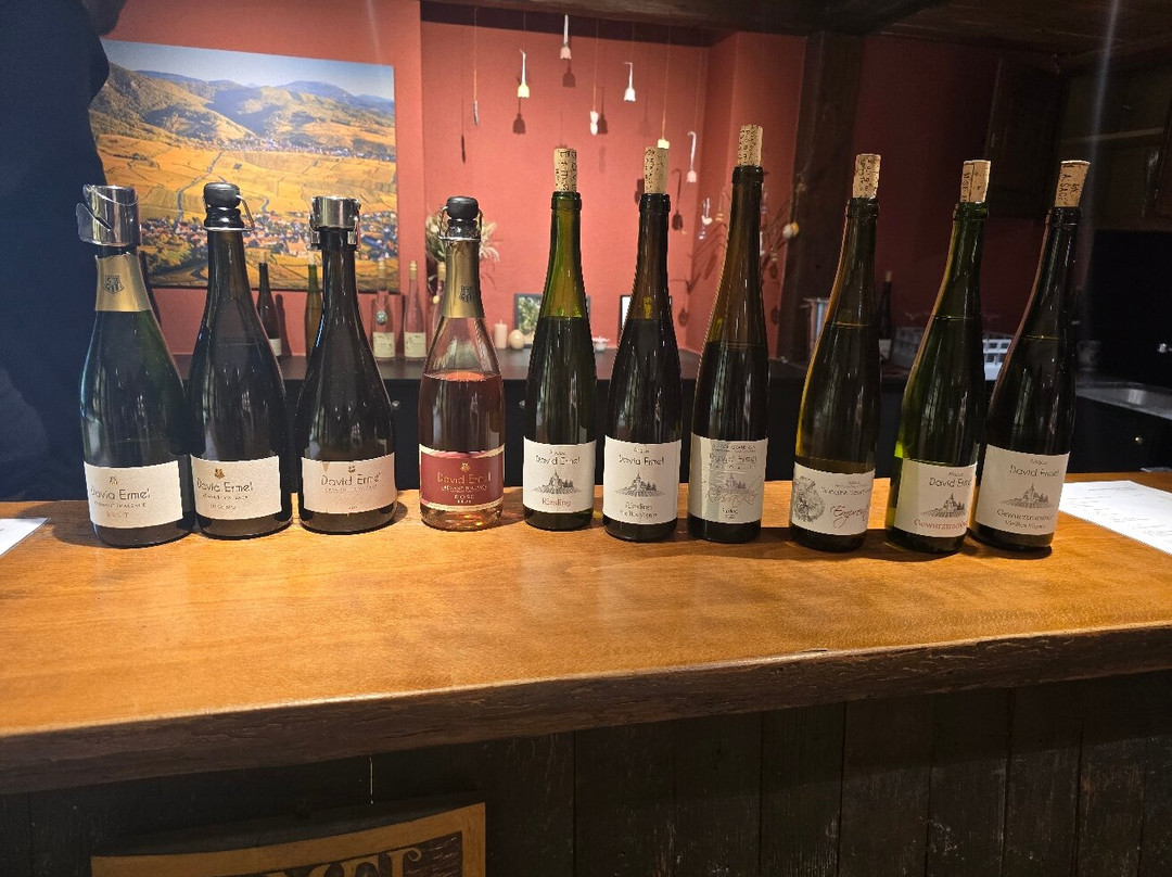 Domaine David Ermel & Fils景点图片