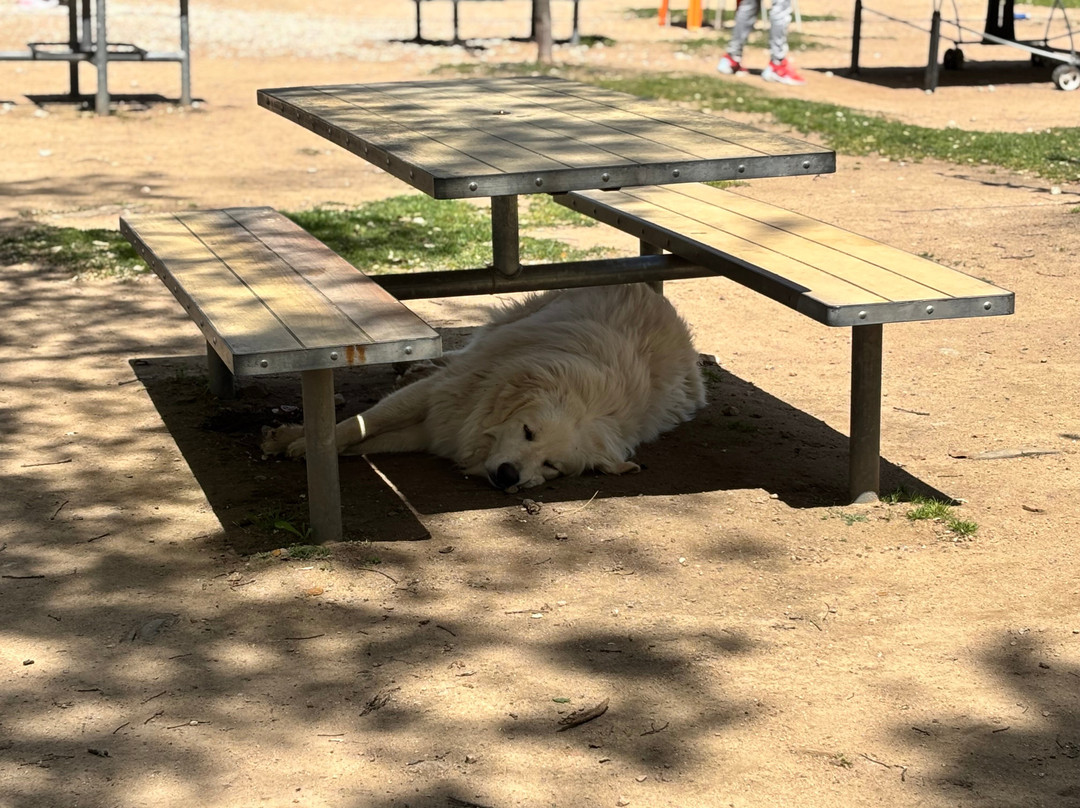 La Ferme D'idefix-Bagnols-en-Foret必去景点