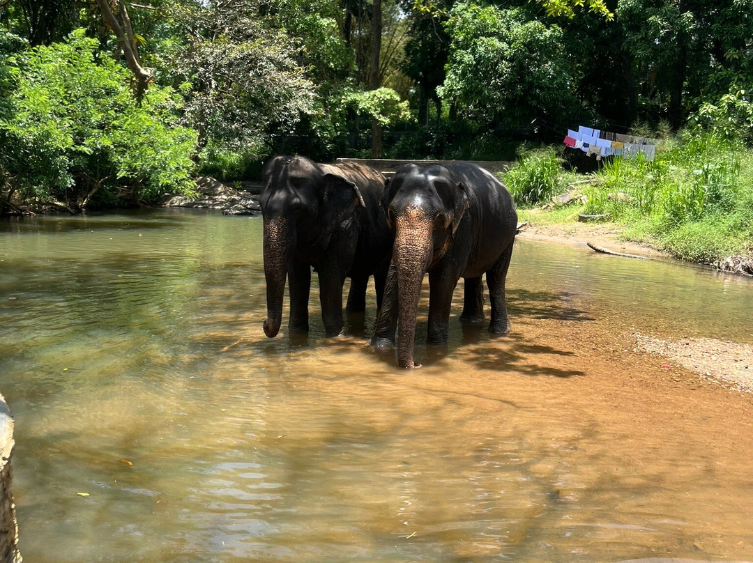 Wetour Sri Lanka-Kekirawa必去景点