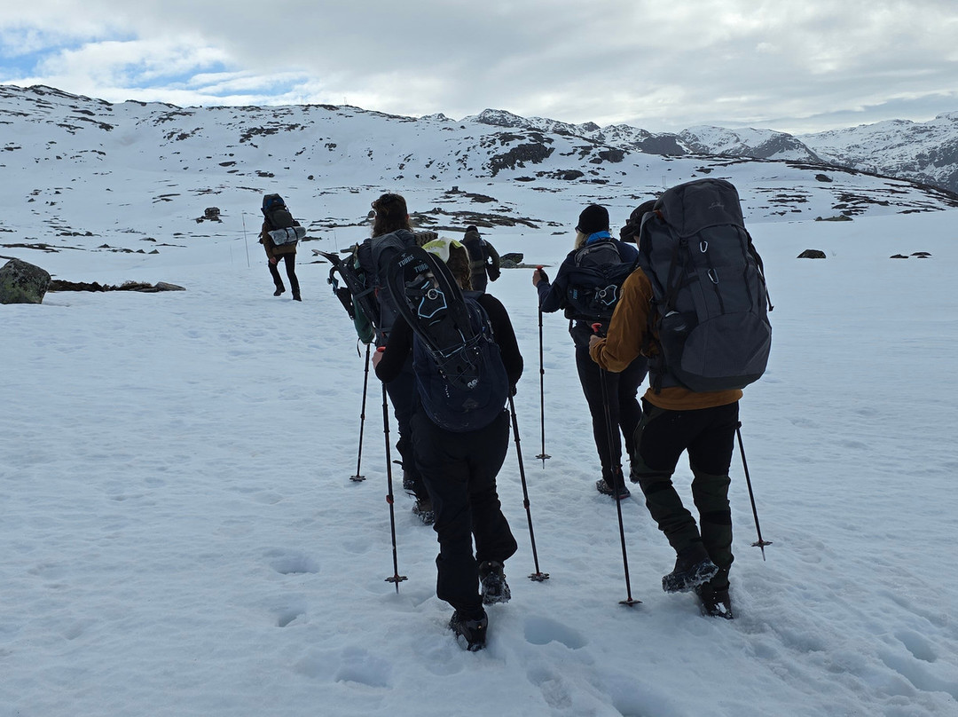 Trolltunga Adventures景点图片