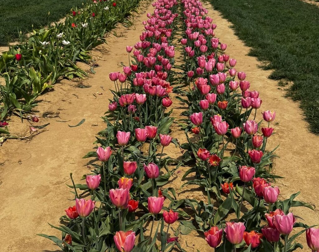 Holland Ridge Farms-Imlaystown必去景点
