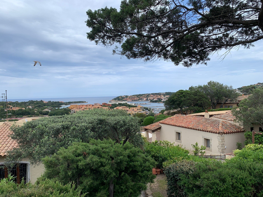 La Bufala Shop Porto Cervo