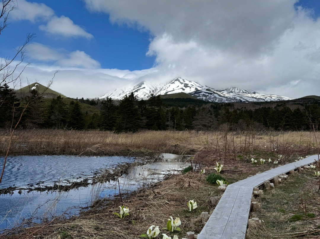 利尻岛-利尻町必去景点