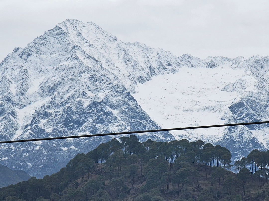 Darang Tea Estate主图