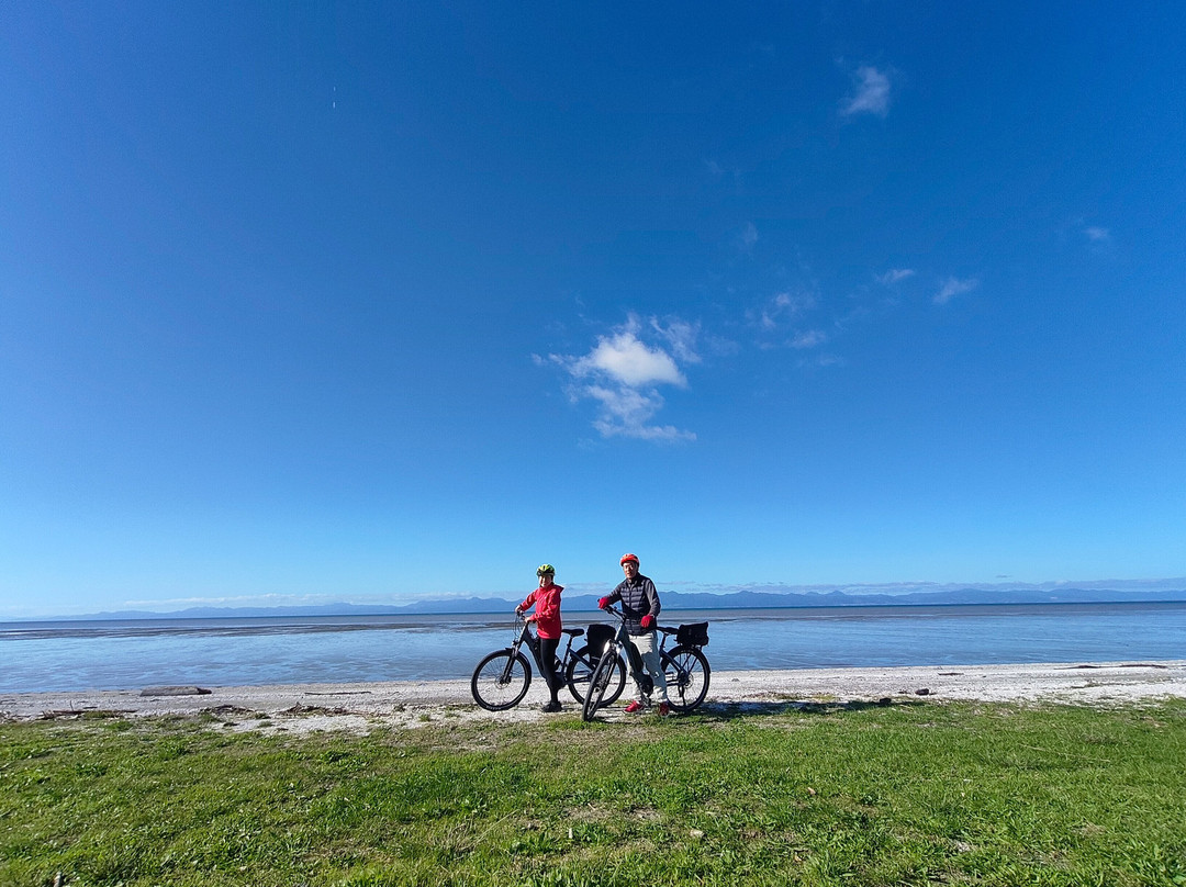 Shorebird Cycles-Kaiaua必去景点