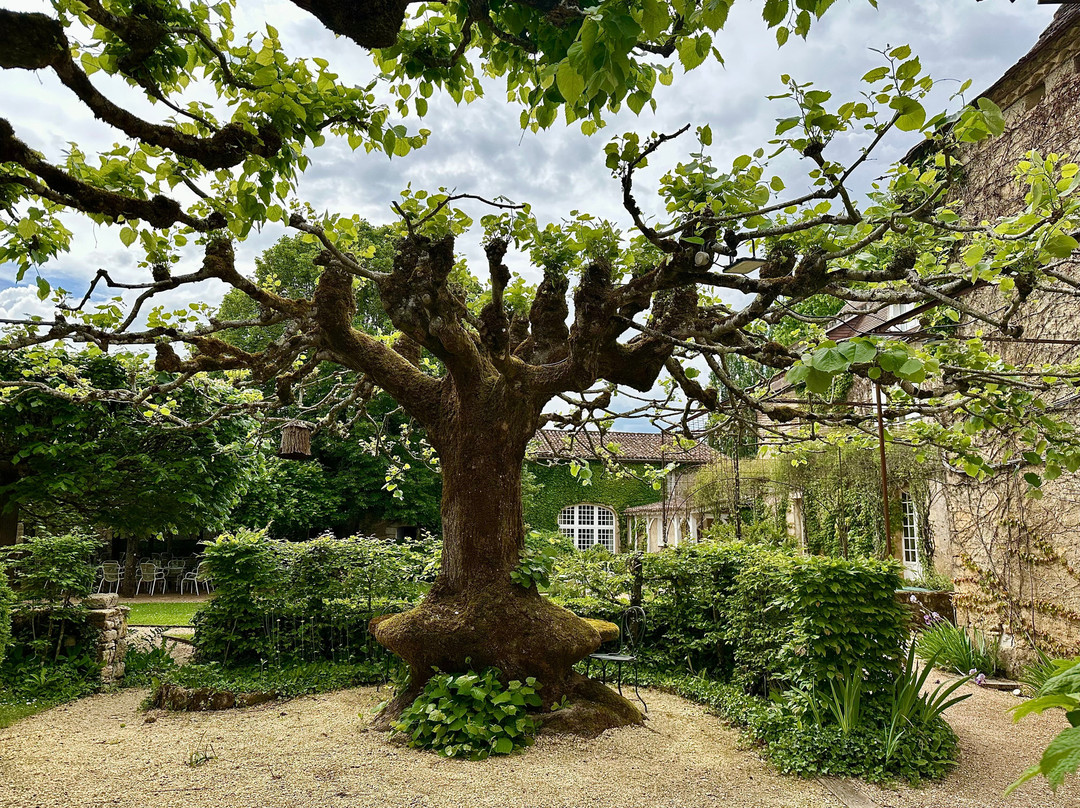 长者之家酒店主图