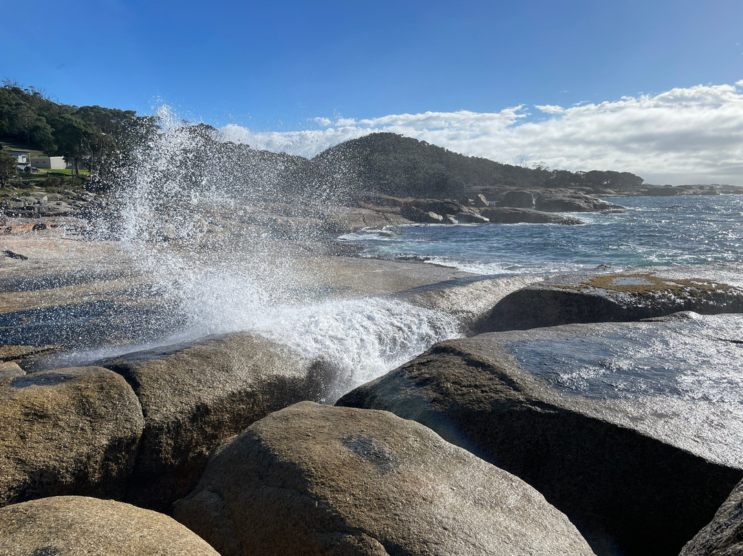 Bicheno Foreshore Footway-比奇诺必去景点