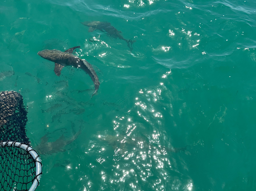 L & L First Love Charters-Duck Key必去景点