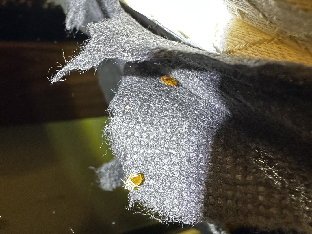 Super 8 by Wyndham Fairmont主图