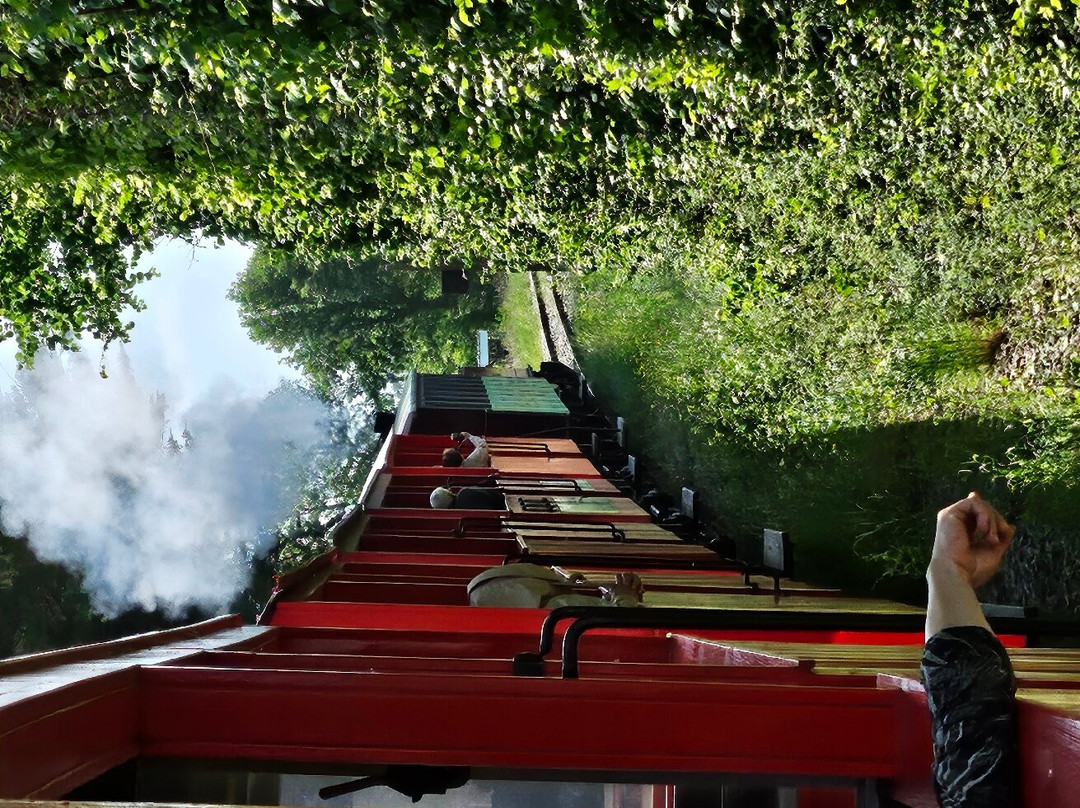 Le Train Des Mouettes景点图片