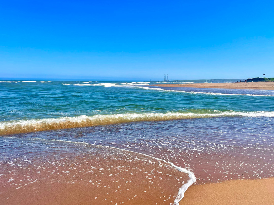 Donmouth Local Nature Reserve-阿伯丁必去景点