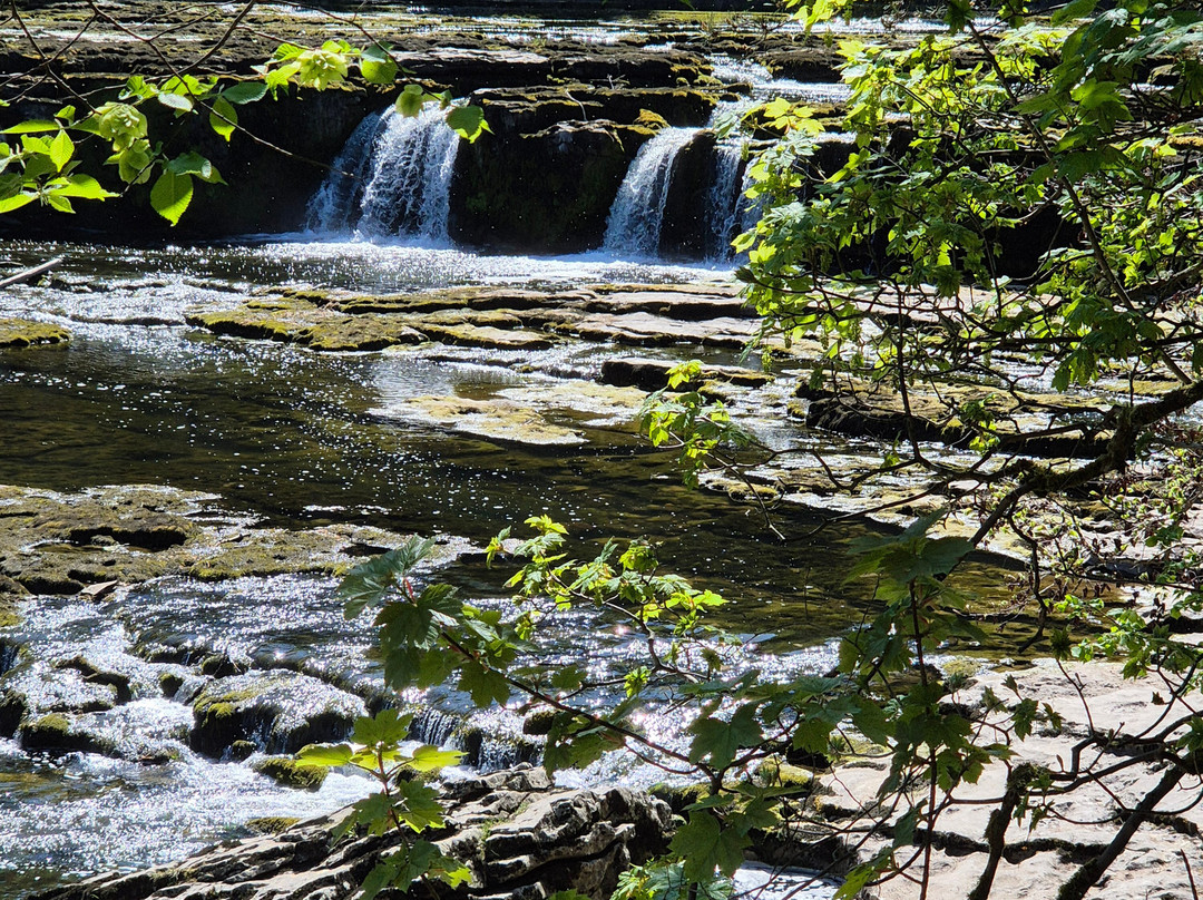 Aysgarth Falls景点图片