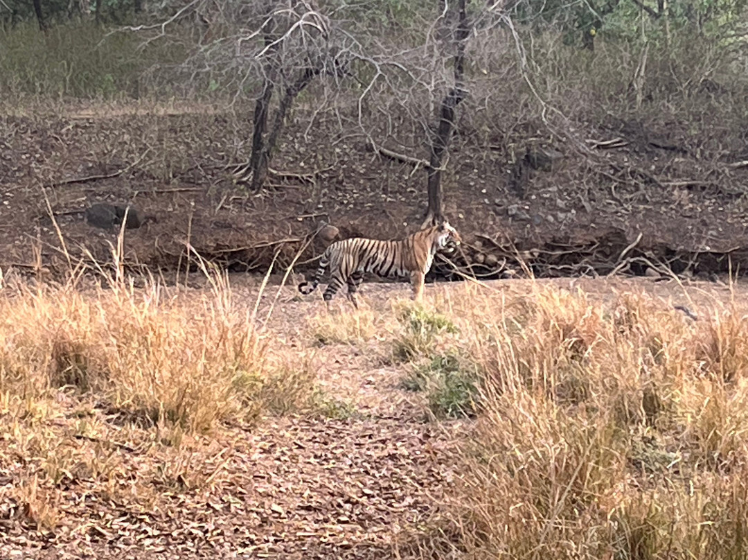 Jaipur City Tour Cab-斋蒲尔必去景点