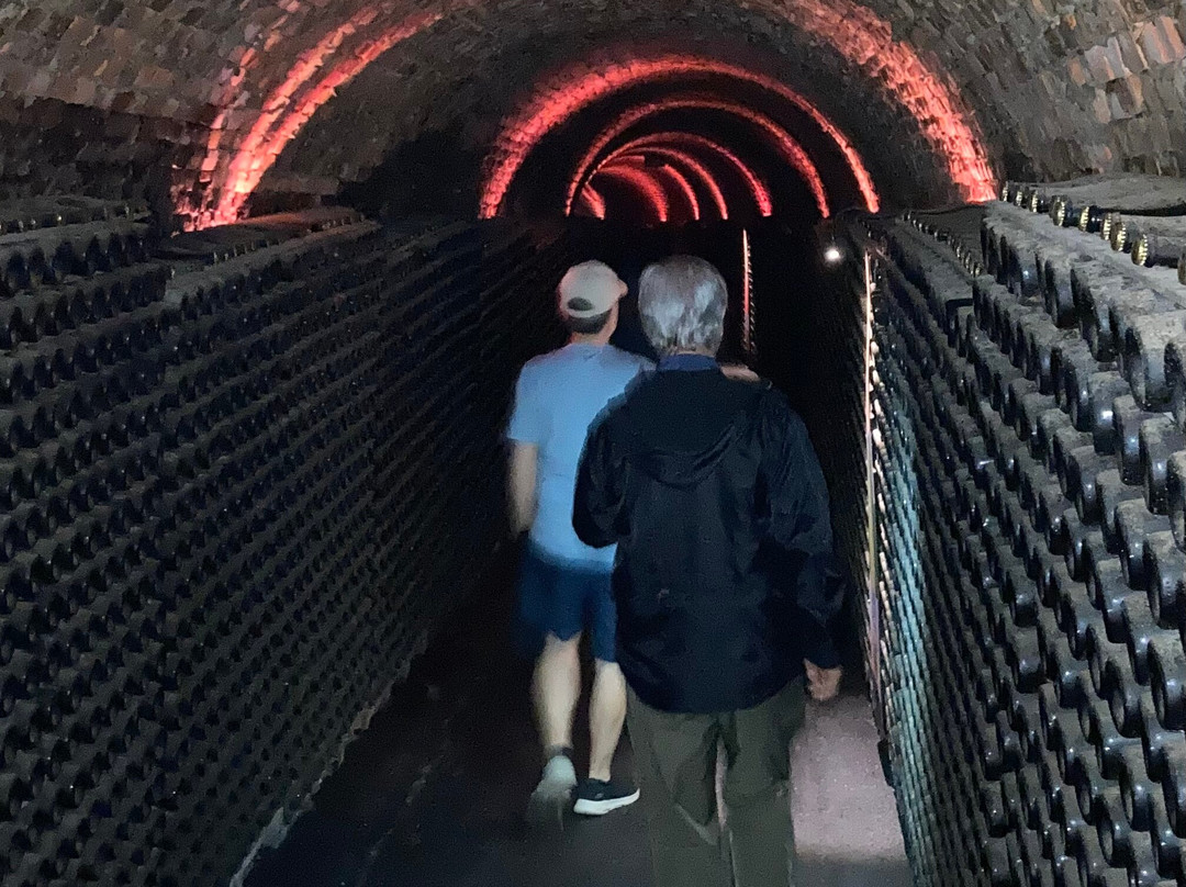 Aliança Underground Museum景点图片