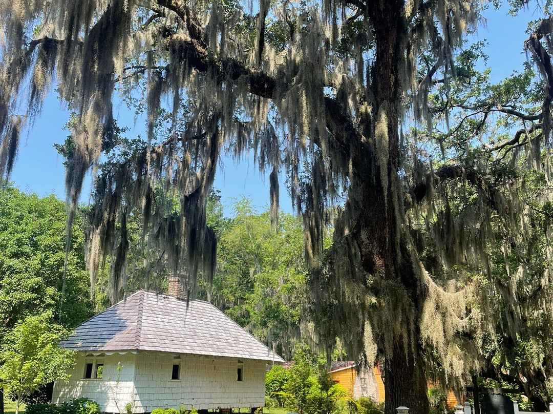 Hopsewee Plantation-乔治敦必去景点