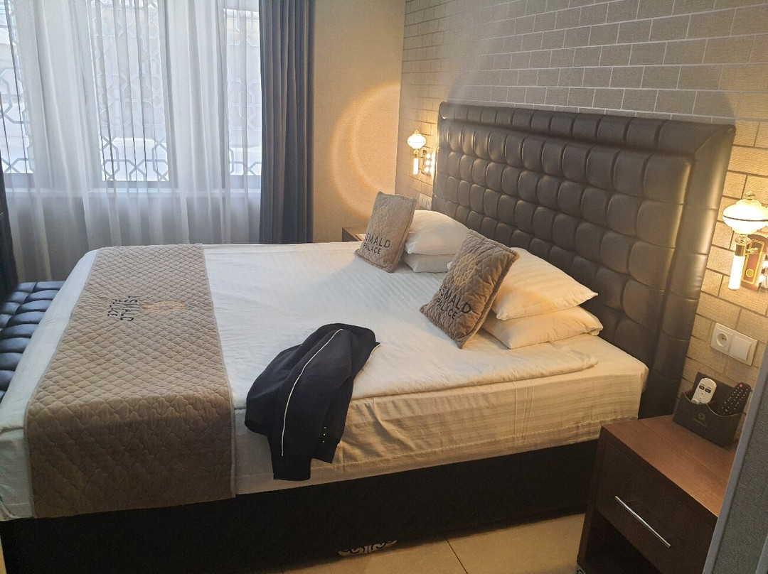 Asmald Palace主图