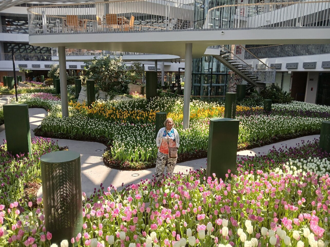 Miracle of Natural-罗勇必去景点