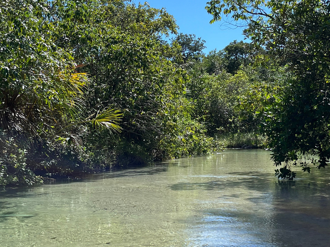 Praia do Pequizeiro-Aurora do Tocantins必去景点