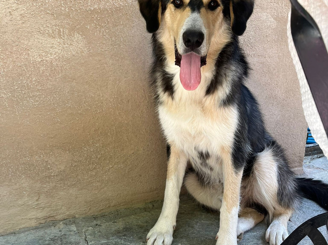 Barcarolla-Nikiti必去景点