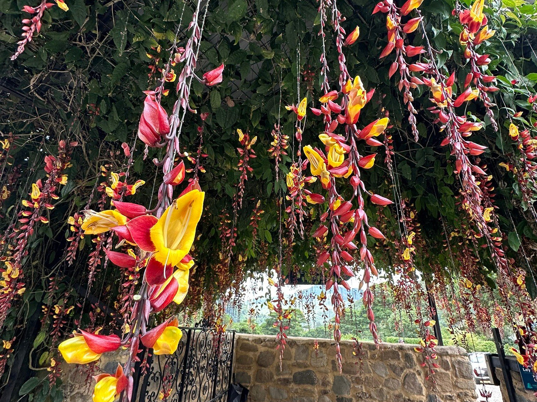 Hacienda Orosi-奥罗西必去景点